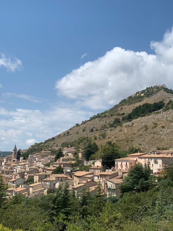 OVIS - Festival della Pastorizia