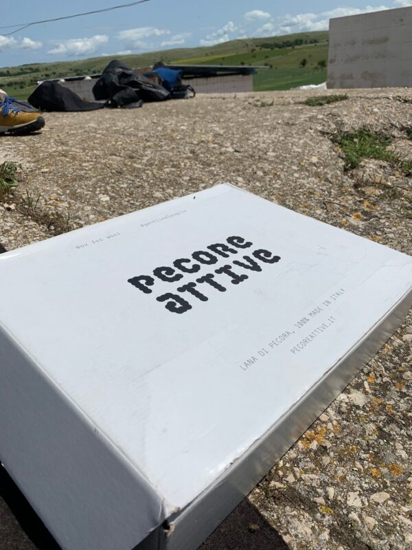 Tosatura @Pecore Attive